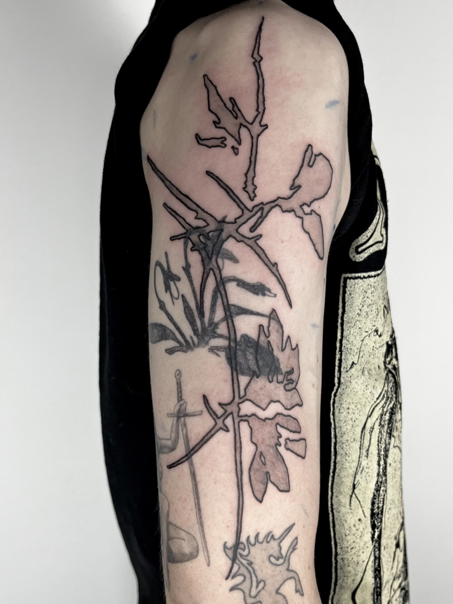 Gallery artwork 12