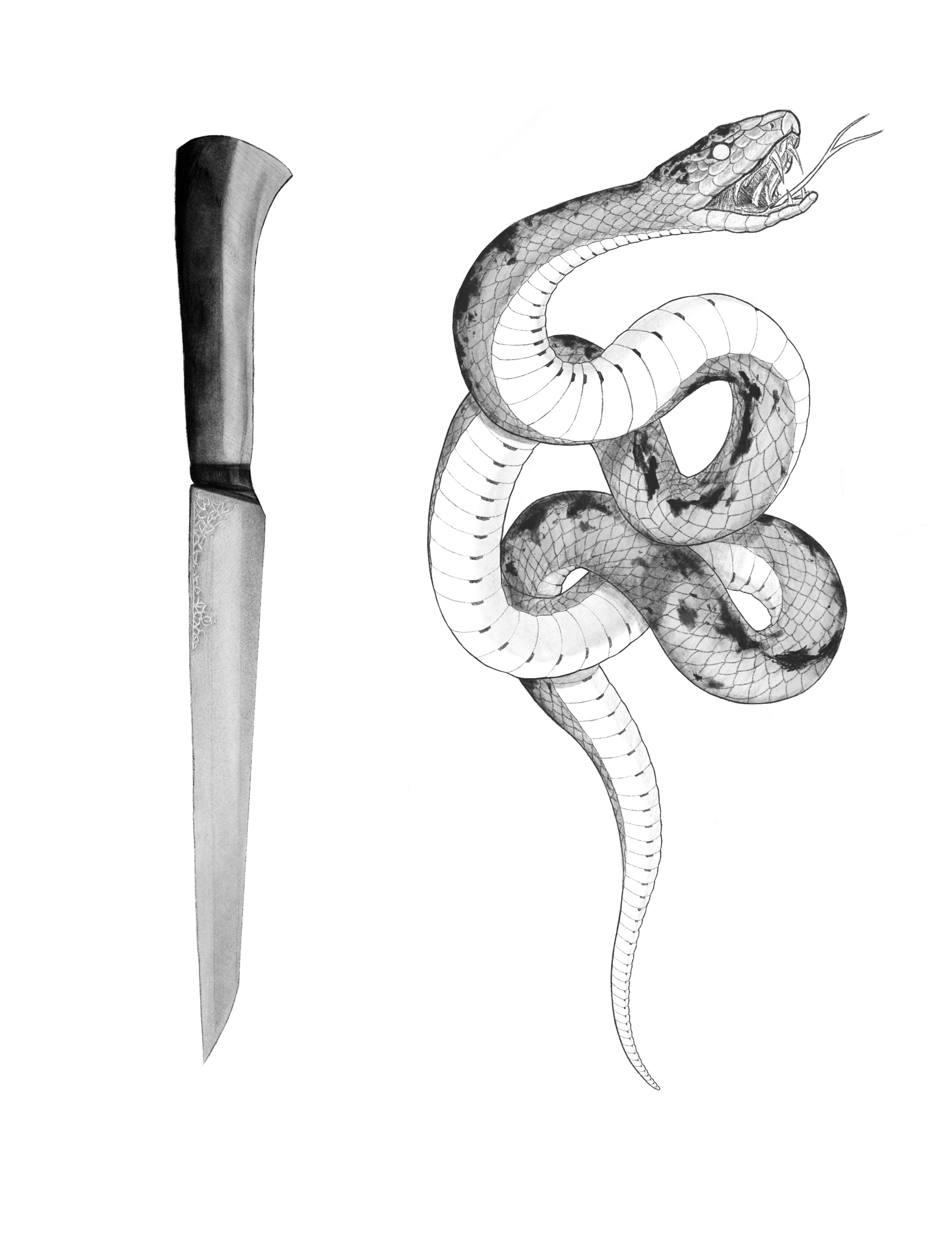 knife and snake