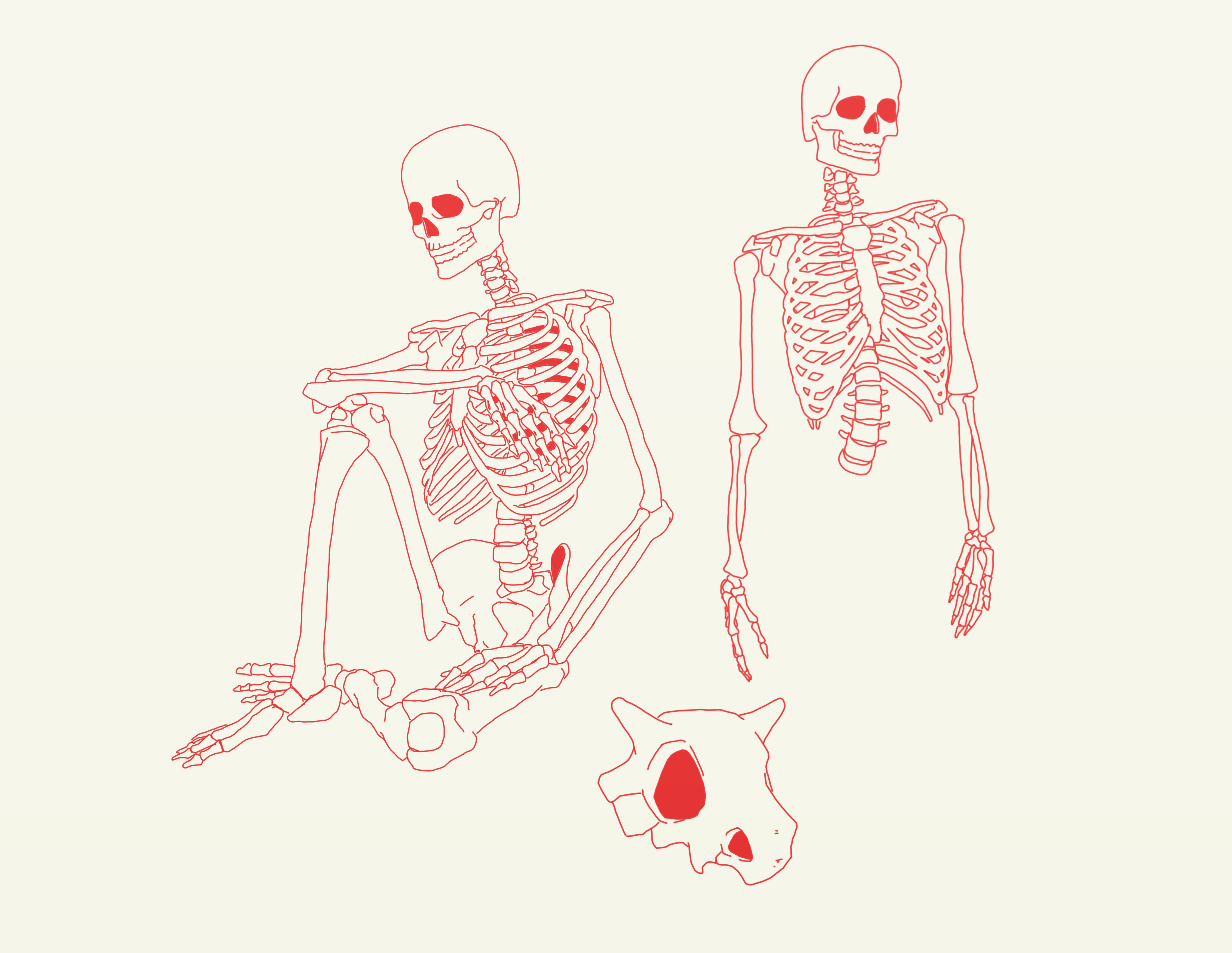 skeletons